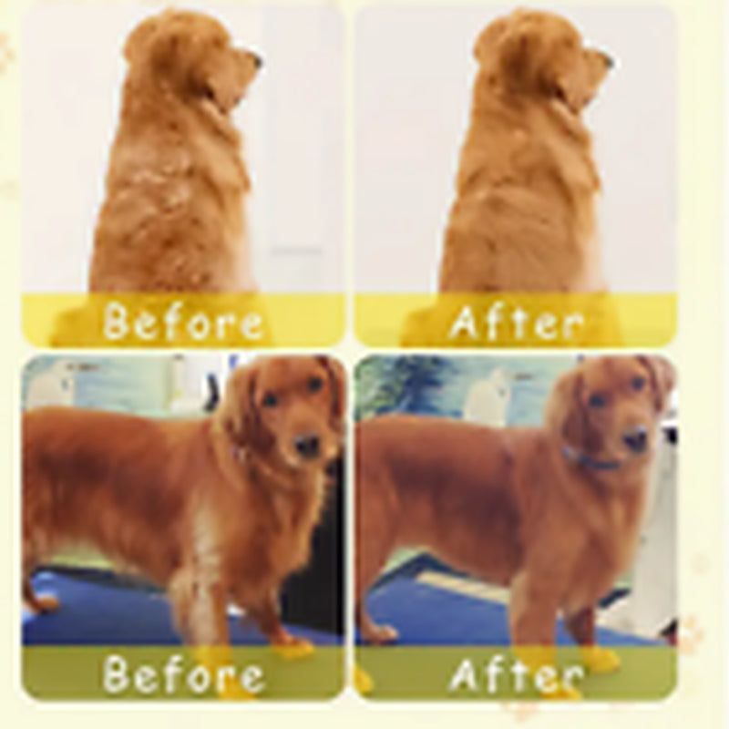 Rechargeable Hot Steam Grooming Brush for Cats and Dogs - Effortless Shedding Hair Spray Solution
