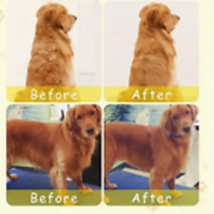 Rechargeable Hot Steam Grooming Brush for Cats and Dogs - Effortless Shedding Hair Spray Solution